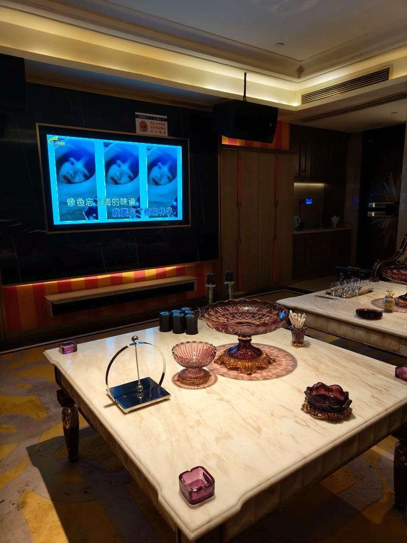 鹤岗商务ktv引领商务ktv新模式-萝北县ktv预定